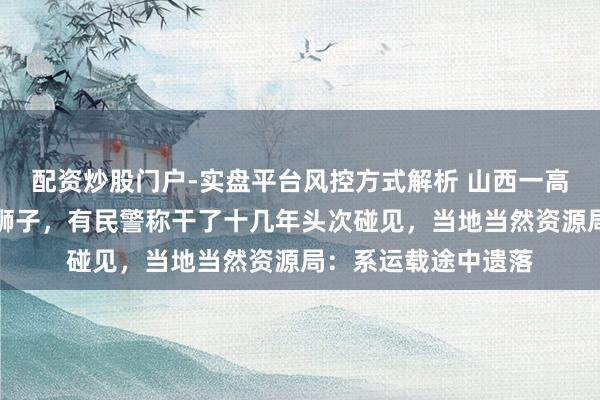 配资炒股门户-实盘平台风控方式解析 山西一高速路边发现一只小狮子，有民警称干了十几年头次碰见，当地当然资源局：系运载途中遗落