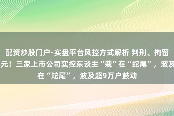配资炒股门户-实盘平台风控方式解析 判刑、拘留、罚金650万元！三家上市公司实控东谈主“栽”在“蛇尾”，波及超9万户鼓动